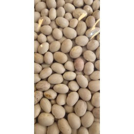 İspir Fasülyesi -1 KG